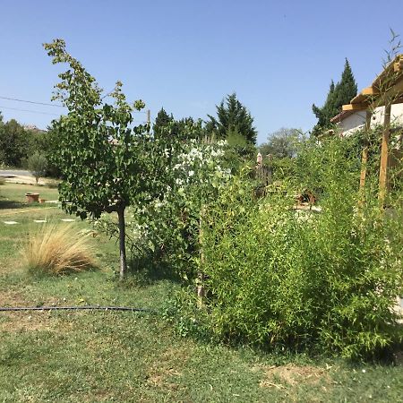 Le Jardin Du Castillon Paradou Kültér fotó