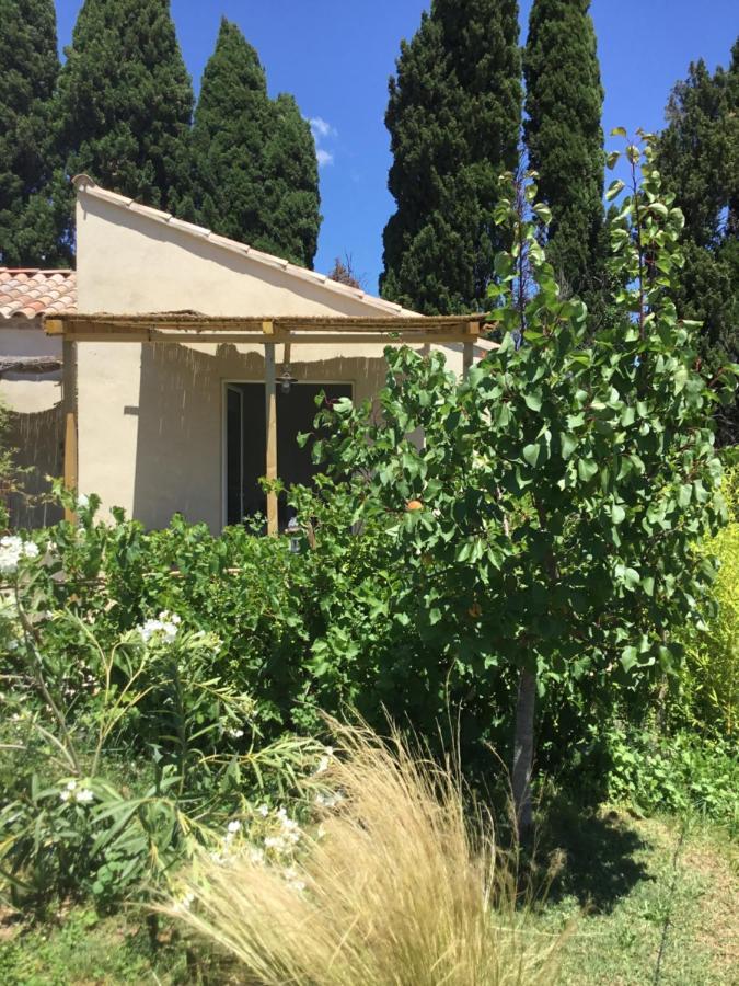Le Jardin Du Castillon Paradou Kültér fotó